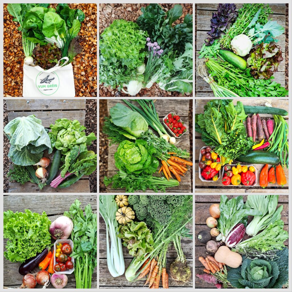 Geméis aus dem Reiserbann, les légumes Vum Gréis, un éventail de saveurs, des légumes frais, locaux et de saison.